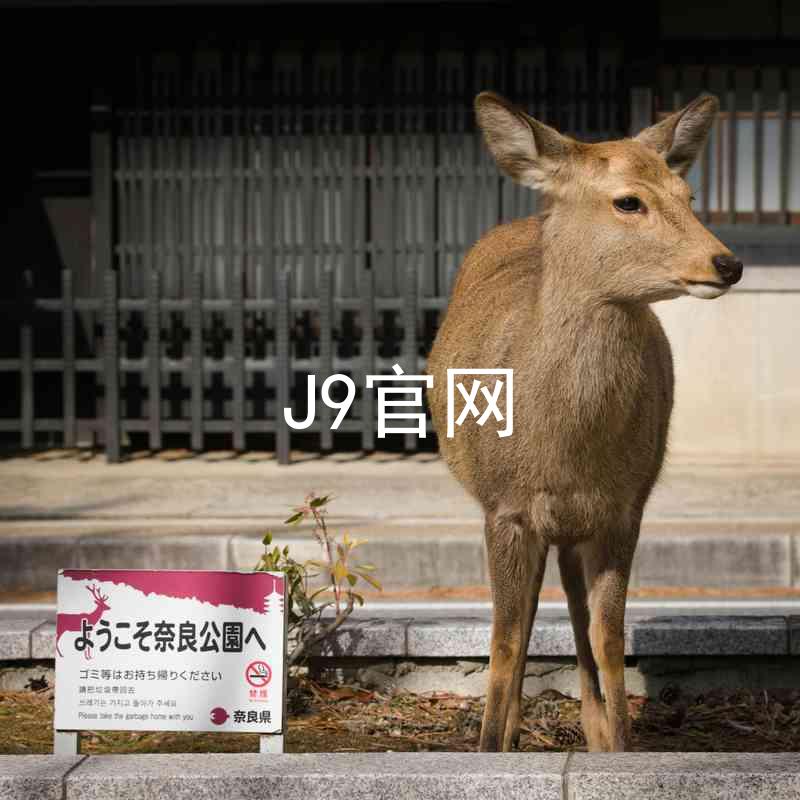 J9官网