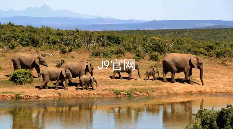 J9官网